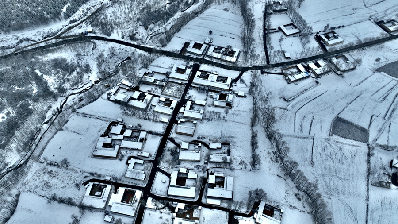 青海化?。恒y裝素裹 雪景如畫